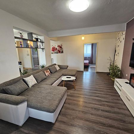 Apartment Zara Funtana Dış mekan fotoğraf