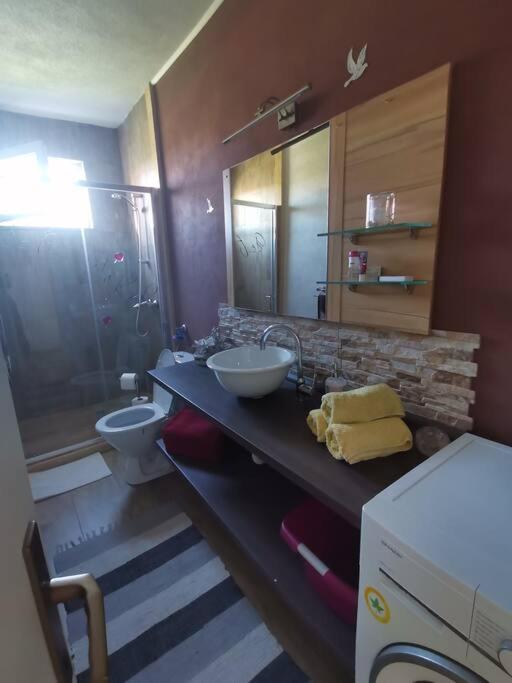 Apartment Zara Funtana Dış mekan fotoğraf