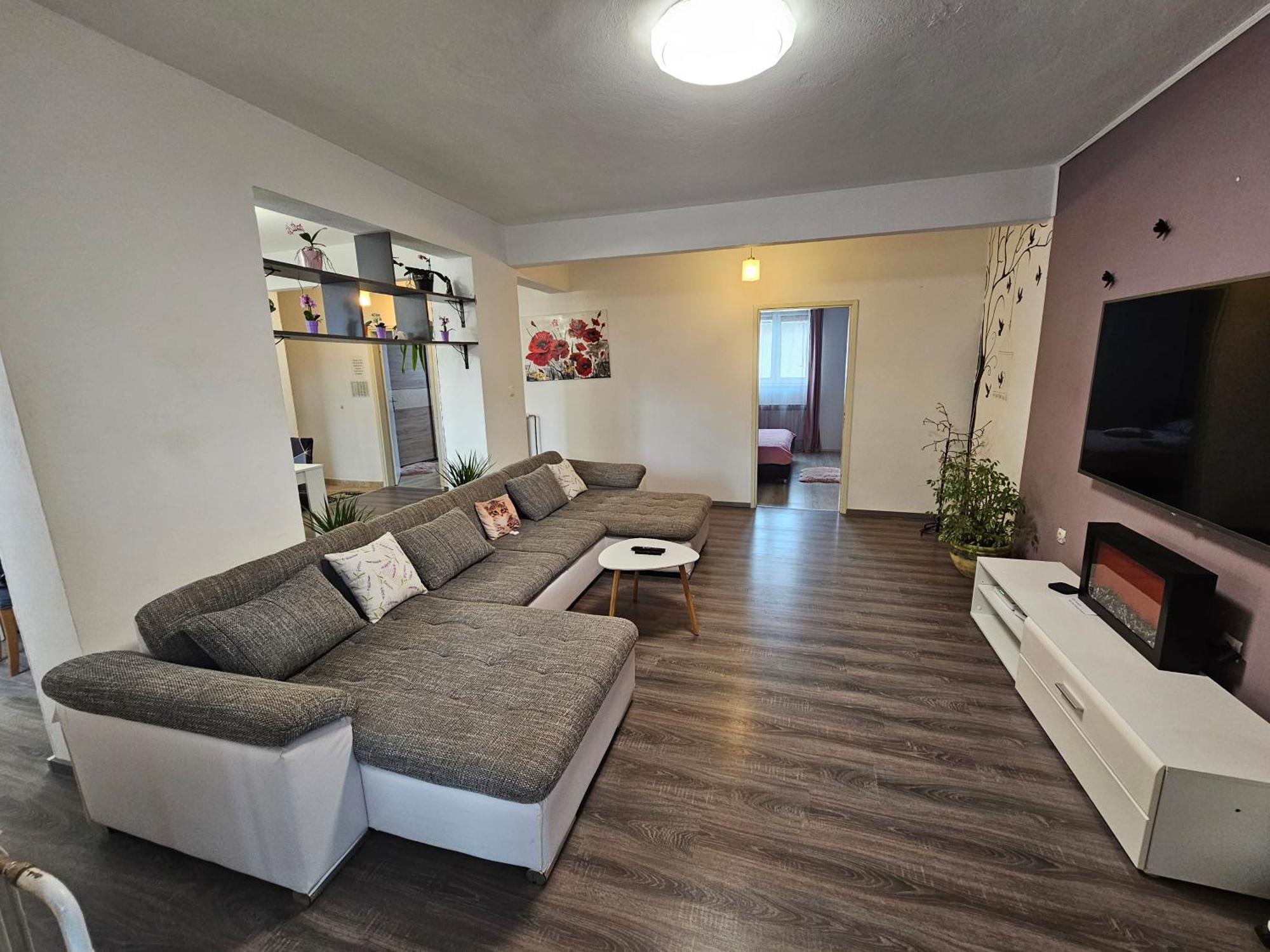 Apartment Zara Funtana Dış mekan fotoğraf